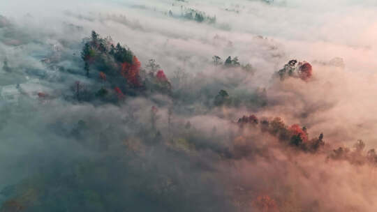 航拍秋天清晨山村云雾缭绕的场景