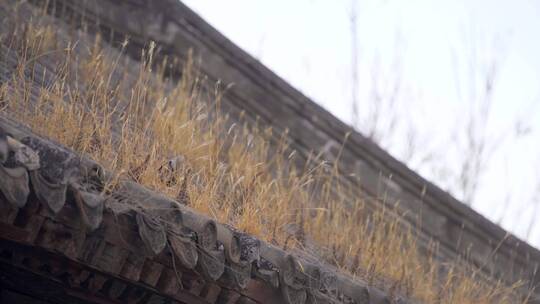 【空镜】4K北京-北方传统瓦顶茅草-多角度