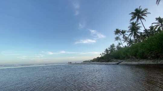 海边棕榈树蓝天美景