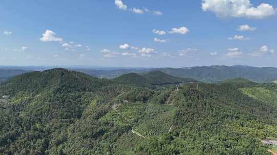 航拍山川丘陵大山山脉森林植物