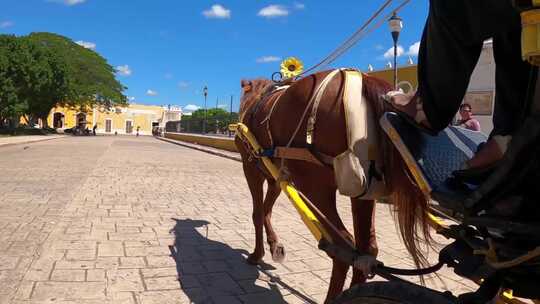 paseo en calesa en i