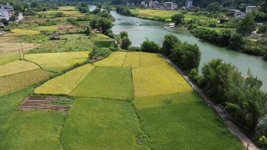 航拍桂林阳朔遇龙河十里画廊竹筏漂流稻田