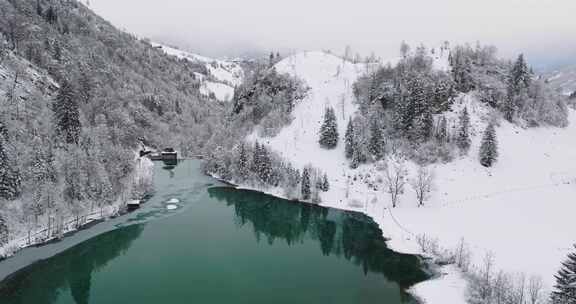 湖，雪，树木，克拉姆湖