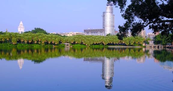 广州流花湖公园绿树自然全景风光