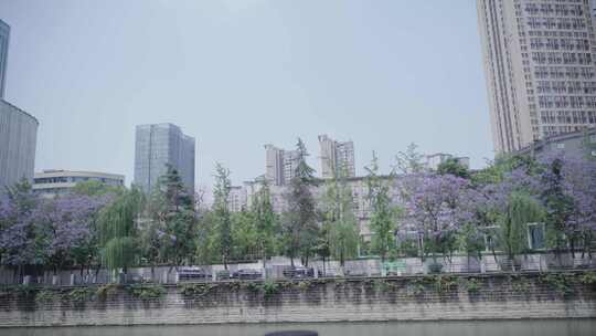 城市风景树林蓝天白云视频素材模板下载