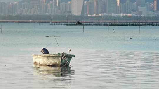 香港城市风光