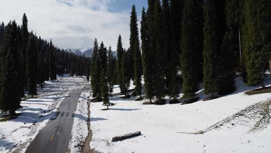 新疆伊犁库尔德宁大气壮观雪山丛林景色