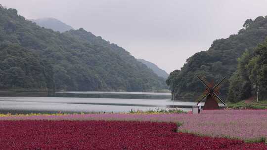 广州石门森林公园风景视频素材模板下载