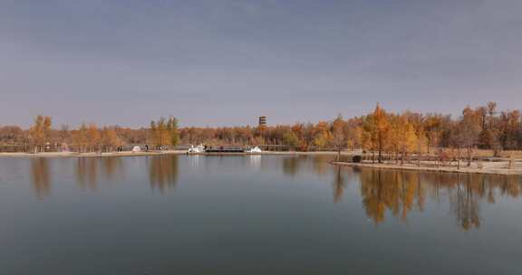 金塔胡杨林秋景