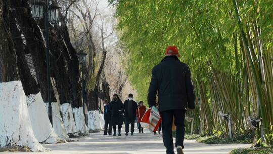 昆明大观公园大观楼竹林小道