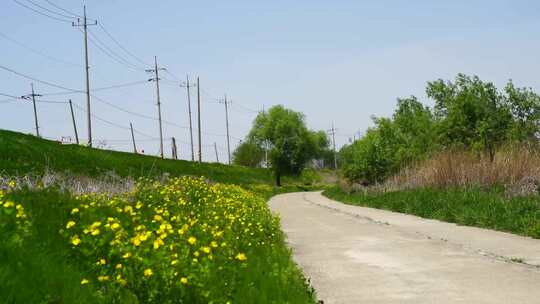 乡村公路的景色