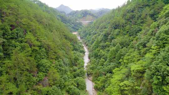 森林峡谷河道溪流