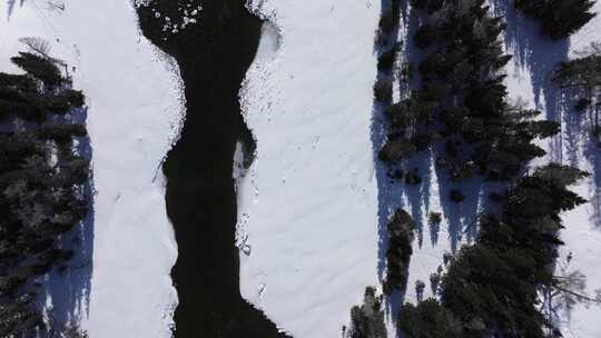 航拍新疆冬季喀纳斯河流晨雾雪山森林雪景