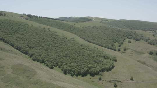 航拍内蒙古呼和浩特敕勒川高山草原夏季风光