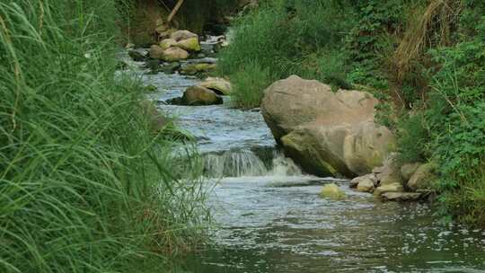 小溪溪流水流流水小河自然景观实拍