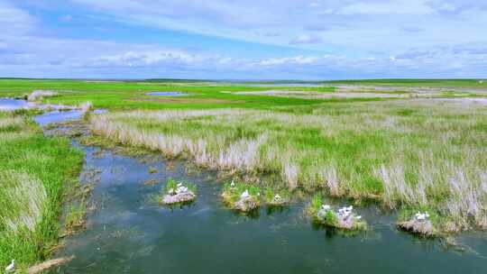 内蒙古辉河湿地航拍