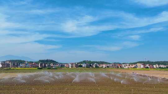 （原创）蔬菜基地灌溉 喷水 洒水视频素材模板下载