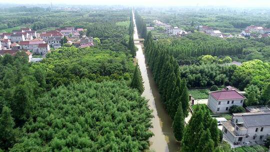 航拍上海崇明岛生态旅游岛视频素材模板下载