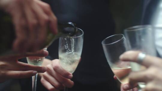 朋友在一起喝香槟庆祝视频素材模板下载