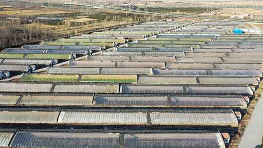 航拍冬日温室大棚种植基地