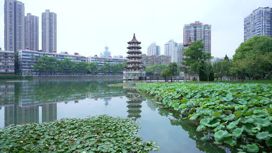 武汉汉口宝岛公园风景