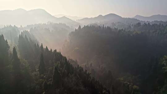 清晨大山森林航拍