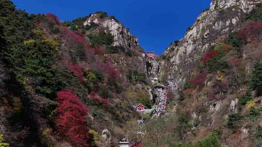 泰山对松山的秋色