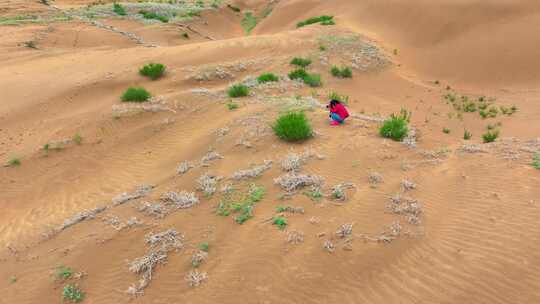 内蒙古库布齐沙漠视频素材模板下载