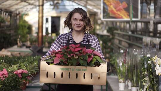 女人抱着一箱花卉在温室花房里行走