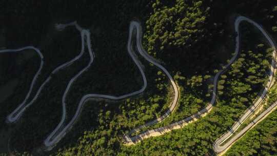 蜿蜒道路和绿色森林的无人机镜头