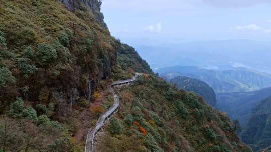 高清实拍眉山洪雅瓦屋山森林