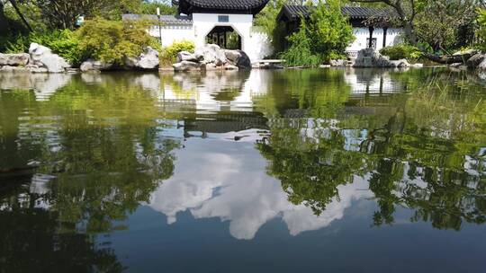 苏州古典园林4k视频 池塘里面有金鱼嬉戏