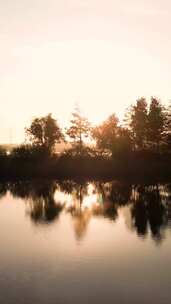特写日落时分夕阳照亮森林湖泊