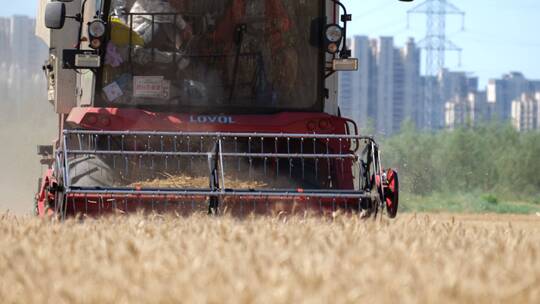 机械化粮食收割麦子丰收