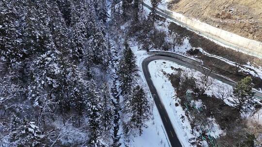 被雪覆盖的森林及蜿蜒道路的鸟瞰景象