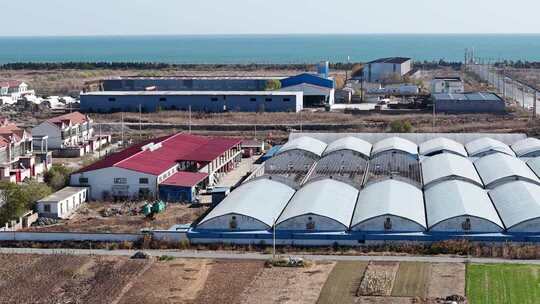 沿海地区蔬菜大棚俯瞰