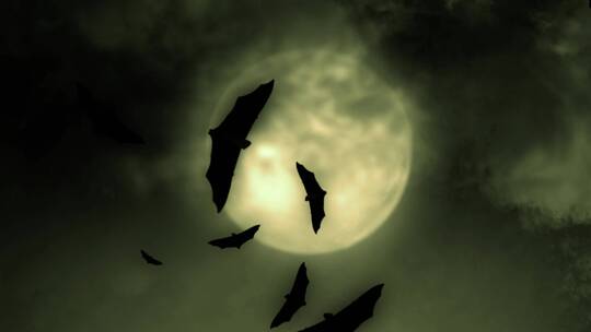 万圣节蝙蝠和满月