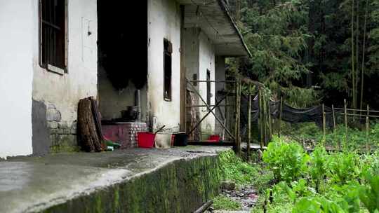 雨天山里旧建筑草木写实视频