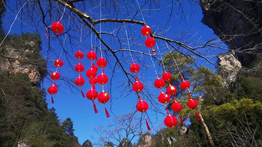 湖南张家界武陵源5A景区