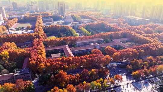 西安交通大学秋景