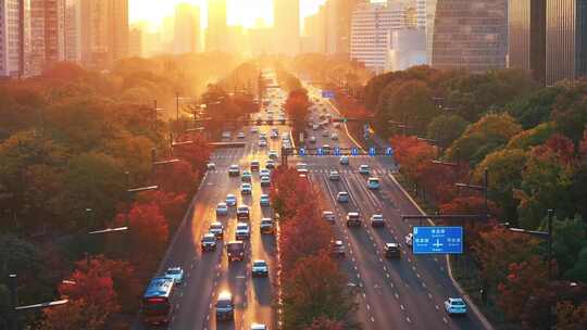 杭州滨江江南大道