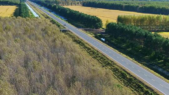 穿过树林与农田的公路航拍