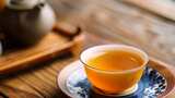 茶人手作 中华茶道合集 中国茶文化喝茶高清在线视频素材下载