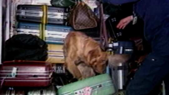 70年代朝鲜韩国军事冲突 特警反恐演习训练