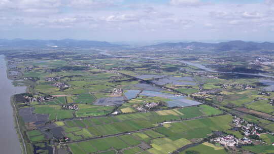 农村航拍新农村无人机俯视蓝天白云稻田野