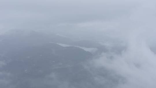 浓雾森林4K航拍