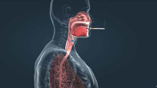 吸烟烟圈肺部病变得肺癌过程三维动画