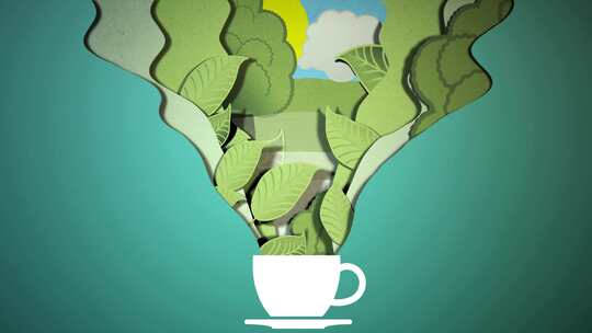 创意动画：咖啡杯延伸出咖啡树叶（咖啡广告