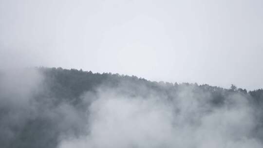 山林间云雾弥漫景象