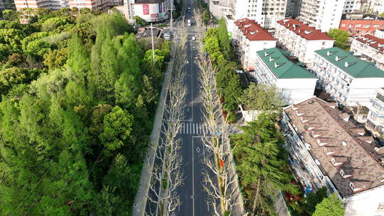 上海疫情城市路面空荡